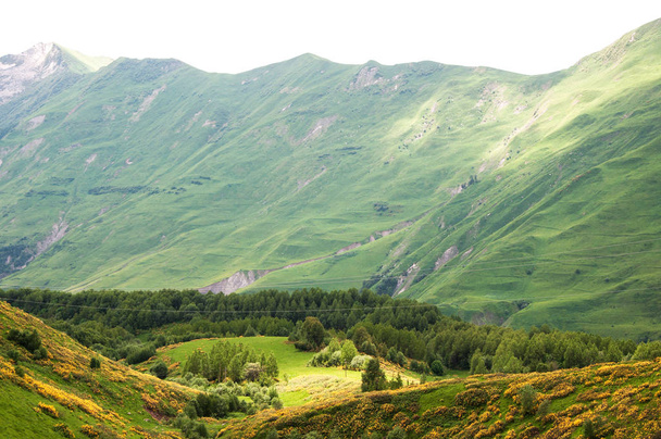 View of Caucasian Mountains in Gudauri, Georgia. - Fotografie, Obrázek