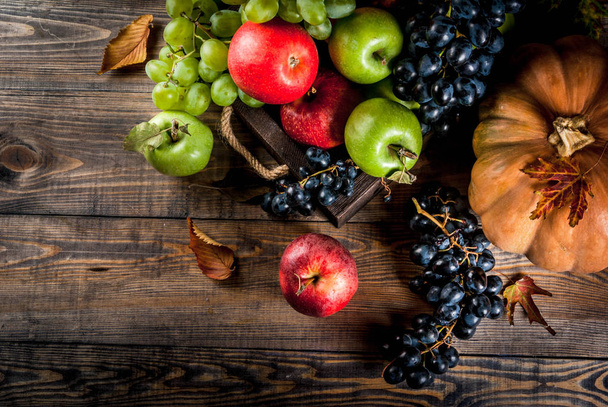 Seasonal fall fruits and pumpkin - Fotó, kép