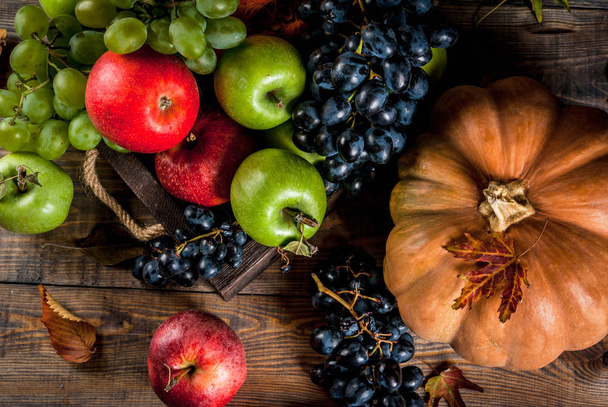 Сезонные осенние фрукты и тыква
 - Фото, изображение