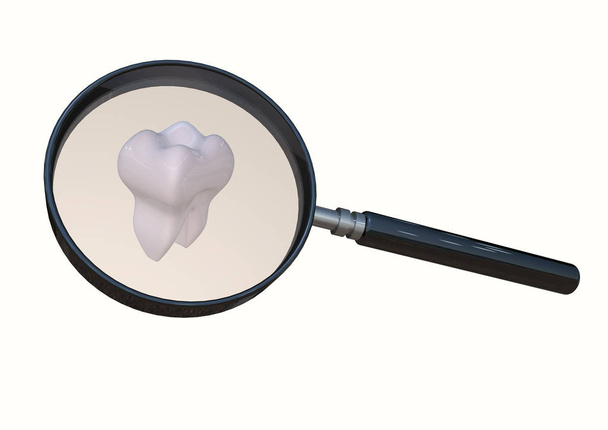 diente con lupa
 - Foto, Imagen