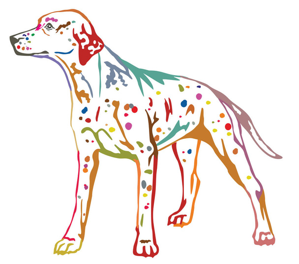 Colorful decorative standing portrait of dog Dalmatian vector il - Vector, Image