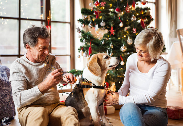 Senior couple with dog in front of Christmas tree - 写真・画像