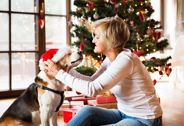 Senior woman with her dog at the Christmas tree. - Фото, зображення