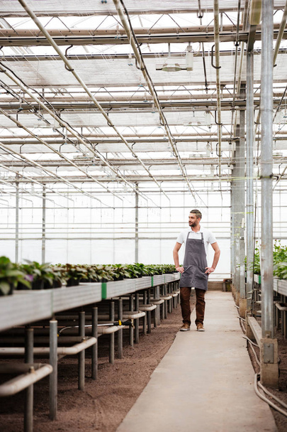Täyspitkä laukaus miespuolisesta työntekijästä seisomassa kasvihuoneessa
 - Valokuva, kuva