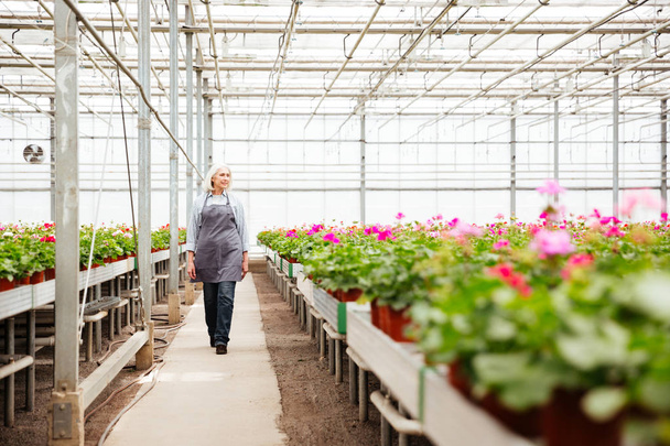 Full-length shot of woman worker standing in greenhouse - Photo, image