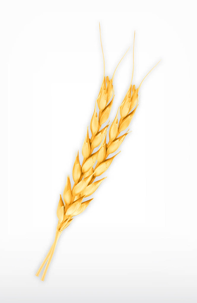 Пшеница. Значок вектора
 - Вектор,изображение