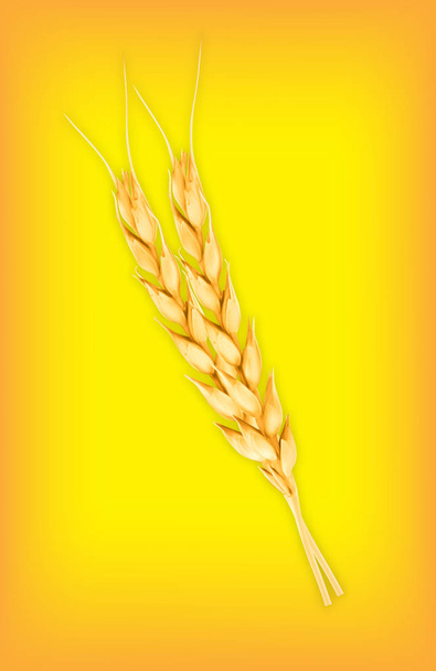 Wheat. Vector icon - Vector, Image
