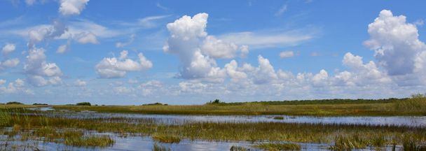 Florida podmokłych. Park Narodowy Everglades na Florydzie, Usa - Zdjęcie, obraz