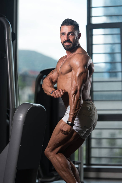 Portrait of a Physically Fit Muscular Man - 写真・画像