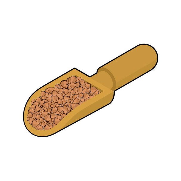 Φαγόπυρο με ξύλινη κουτάλα απομονωμένη. Άλφιτα (Κόκκοι) σε ξύλινο φτυάρι. Σιτάρι - Διάνυσμα, εικόνα