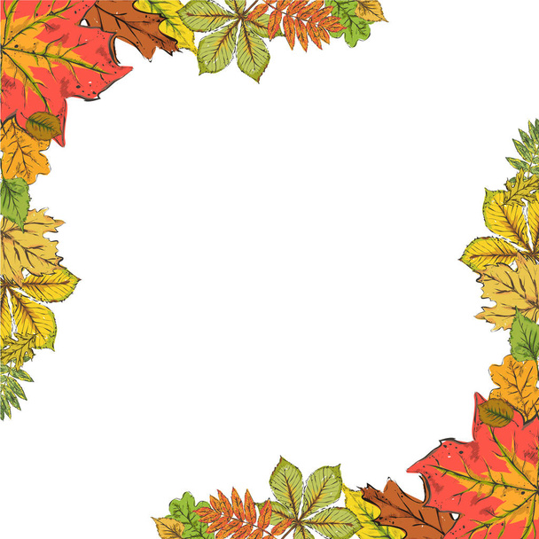 Postal con hojas coloridas de otoño. Marco de hojas de otoño ingenio
 - Vector, Imagen