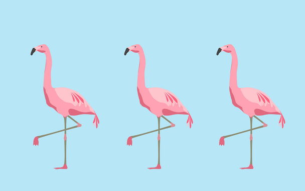 pink flamingo birds over blue background - Foto, afbeelding