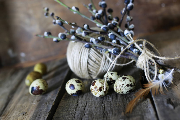 primavera huevo ramita sauce madera fondo
 - Foto, Imagen