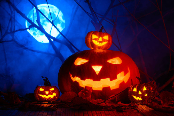 Pelottava Halloween kurpitsat taustalla oksat ja täysikuu sumussa
 - Valokuva, kuva