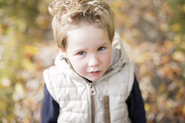 boy in autumn season in a park - Foto, Bild