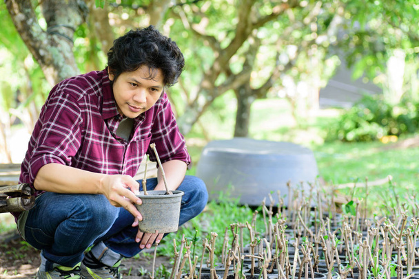 Asian young farmer planting and propagation of plant  - Photo, Image
