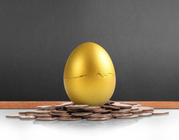 Altın yumurta yatırım kavramı - Fotoğraf, Görsel