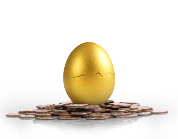 Концепція інвестиційного фонду золотих яєць
 - Фото, зображення