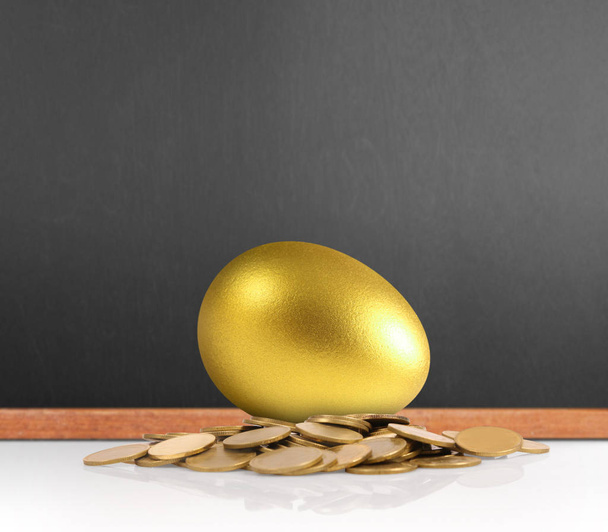 Yatırım hisse senedi altın yumurta konsepti - Fotoğraf, Görsel