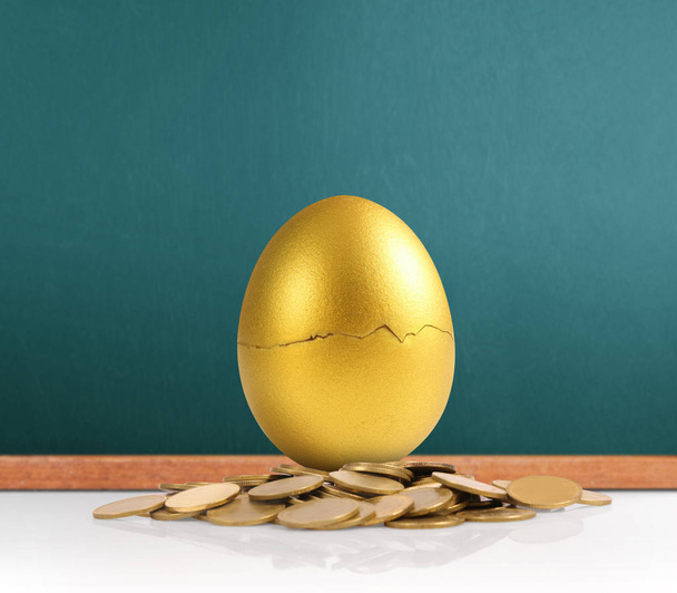 Investment  concept of golden eggs - Photo, Image