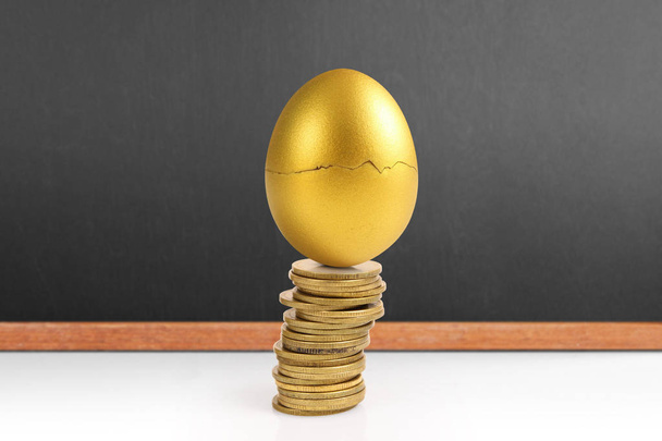 Koncept investičních zásob zlatých vajec - Fotografie, Obrázek