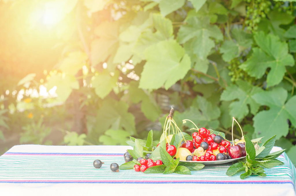 Bogyós gyümölcsök, cseresznye, fekete és piros ribizli egy tányérra, menta levelek egy asztal terítő. A fények, a nap. - Fotó, kép