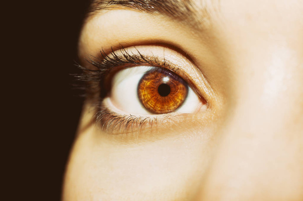 Un hermoso ojo de mujer mirada perspicaz. - Foto, Imagen