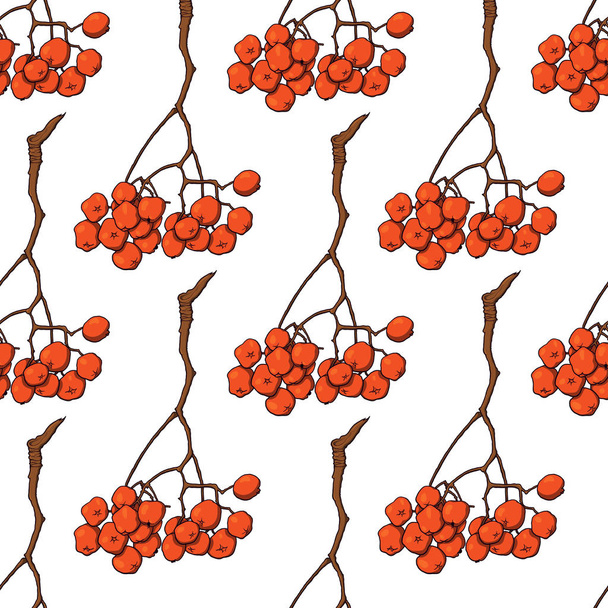 Seamless pattern with bunches of red rowan berries - Διάνυσμα, εικόνα