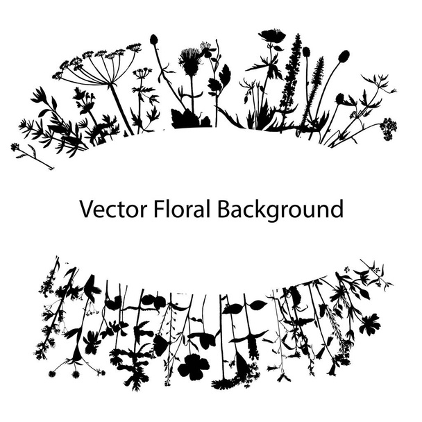 Background with drawing herbs and flowers - Vector, Image