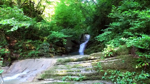 natürlicher Wasserfall, der aus Felsen fließt - Filmmaterial, Video