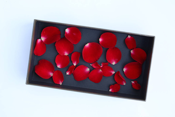 Red rose petals in luxury leather box on white background. - Foto, Bild