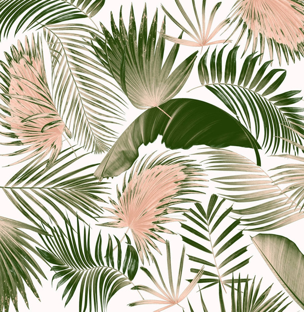 mix palm leaf tree background - Φωτογραφία, εικόνα
