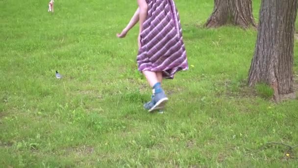 Little beautiful girl wants to feed wagtail in summer city park. - Video, Çekim