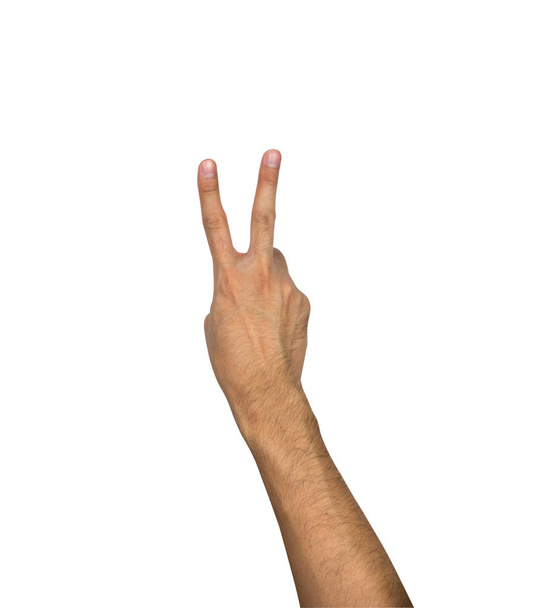 Two fingers hand gesture isolated on white background, clipping path - Valokuva, kuva
