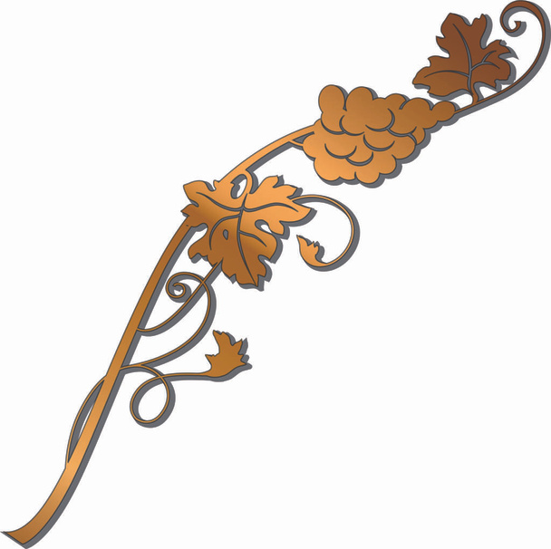 Branche de raisin doré avec un bouquet de raisins et de feuilles. Entreprise vinicole desi
 - Vecteur, image