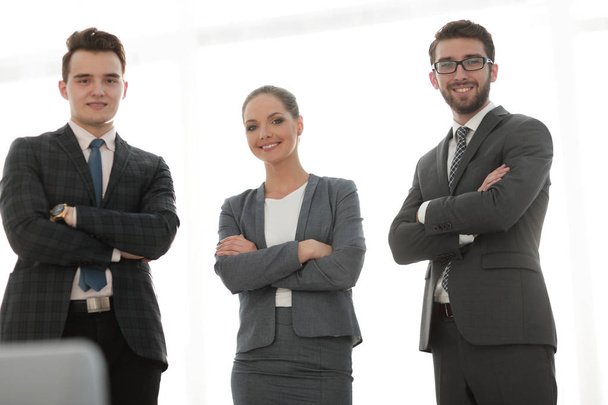 portrait of successful business team - Foto, immagini