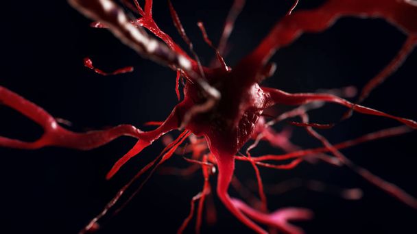 3D Illustration der neuronalen Zelle - Foto, Bild