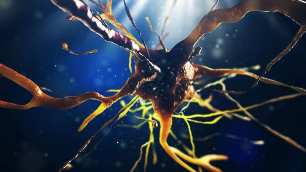 3D Illustration der neuronalen Zelle - Foto, Bild