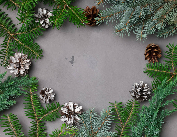 Fir branches and pine cones on the grey background. - Фото, зображення