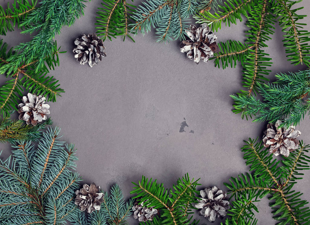 Fir brunches and pine cones arranges in a frame.  - Photo, Image