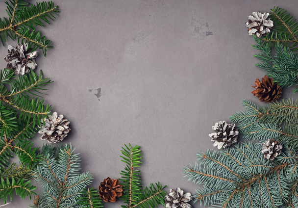 Різдвяний шаблон з ялинковими гілками
 - Фото, зображення