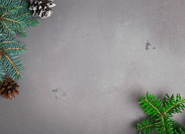 Fir branches on grey background - Photo, Image