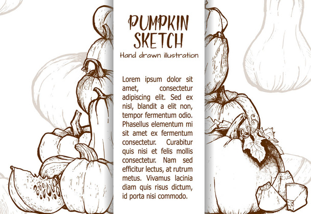 Pumpkin vector drawing set. - Vector, Image
