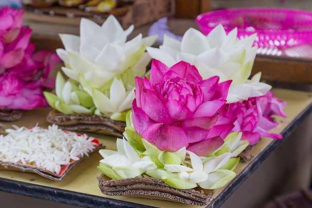 rosa und weiße Lotusblüten - Foto, Bild