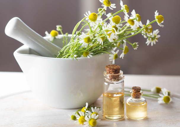 Camomile essential oil and camomile flowers - Fotoğraf, Görsel