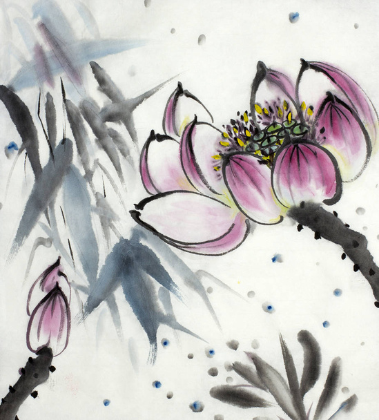 drawing of a blossoming lotus - Foto, Imagen
