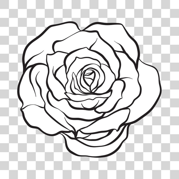 Isolated outline rose flower. Stock vector illustration. - Vecteur, image