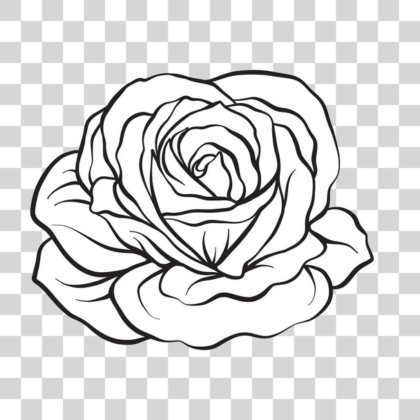 Isolated outline rose flower. Stock vector illustration. - Vector, afbeelding