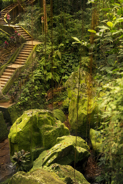 escaleras en la naturaleza
 - Foto, imagen