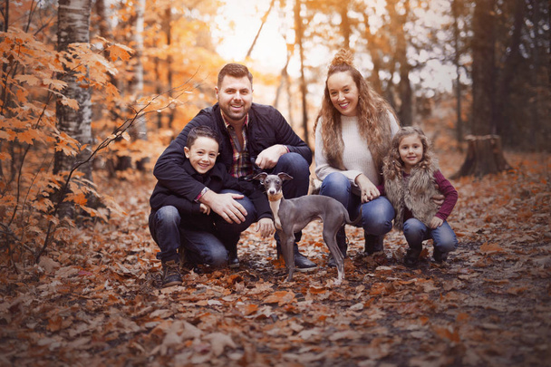 Family of four enjoying golden leaves in autumn park - Foto, Bild
